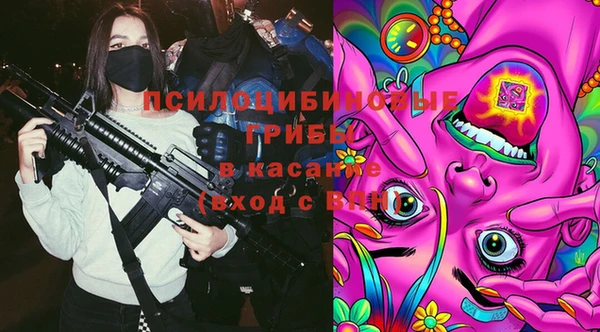 ГАЛЛЮЦИНОГЕННЫЕ ГРИБЫ Ладушкин