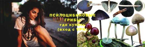 соль курить ск Лагань