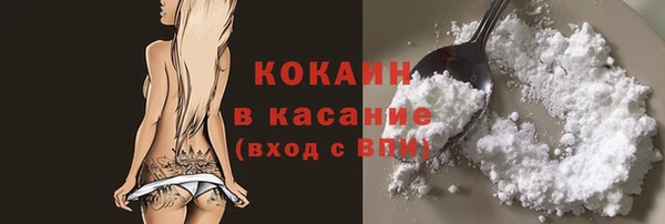 ГАЛЛЮЦИНОГЕННЫЕ ГРИБЫ Ладушкин