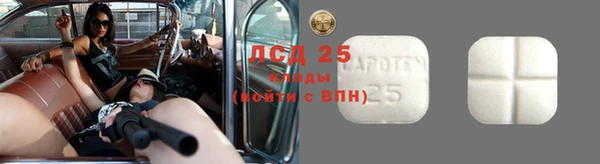 ГАЛЛЮЦИНОГЕННЫЕ ГРИБЫ Ладушкин