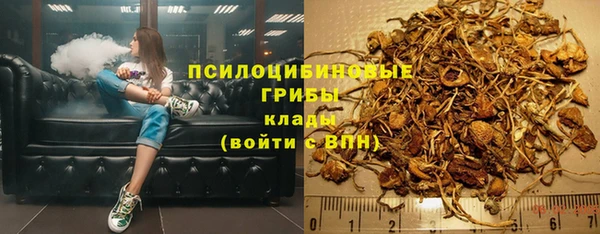 ГАЛЛЮЦИНОГЕННЫЕ ГРИБЫ Ладушкин