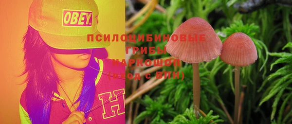 соль курить ск Лагань